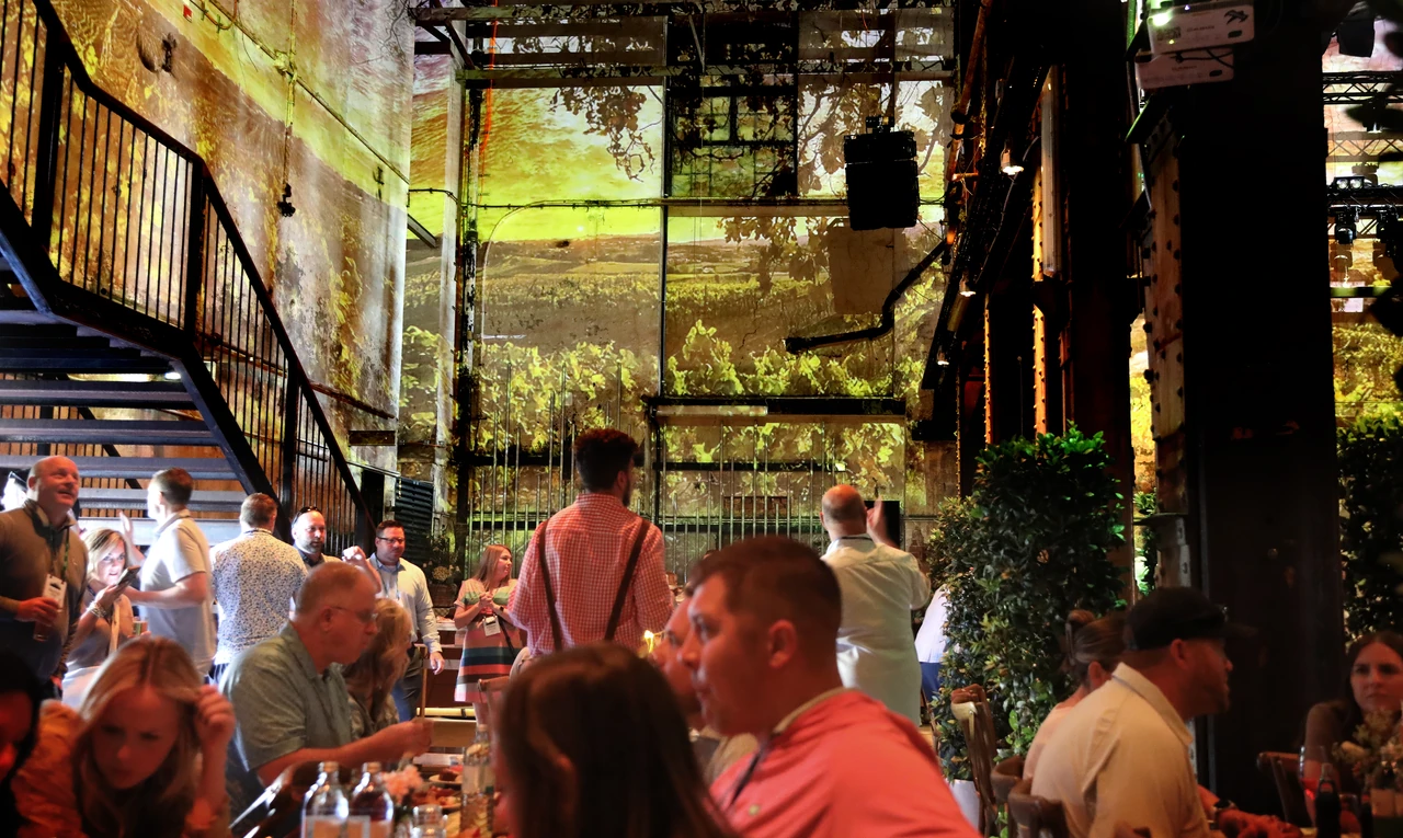 Gäste vor großflächigen Weinberg-Projektionen – IMS, Ottakringer Brauerei, Wien, Österreich