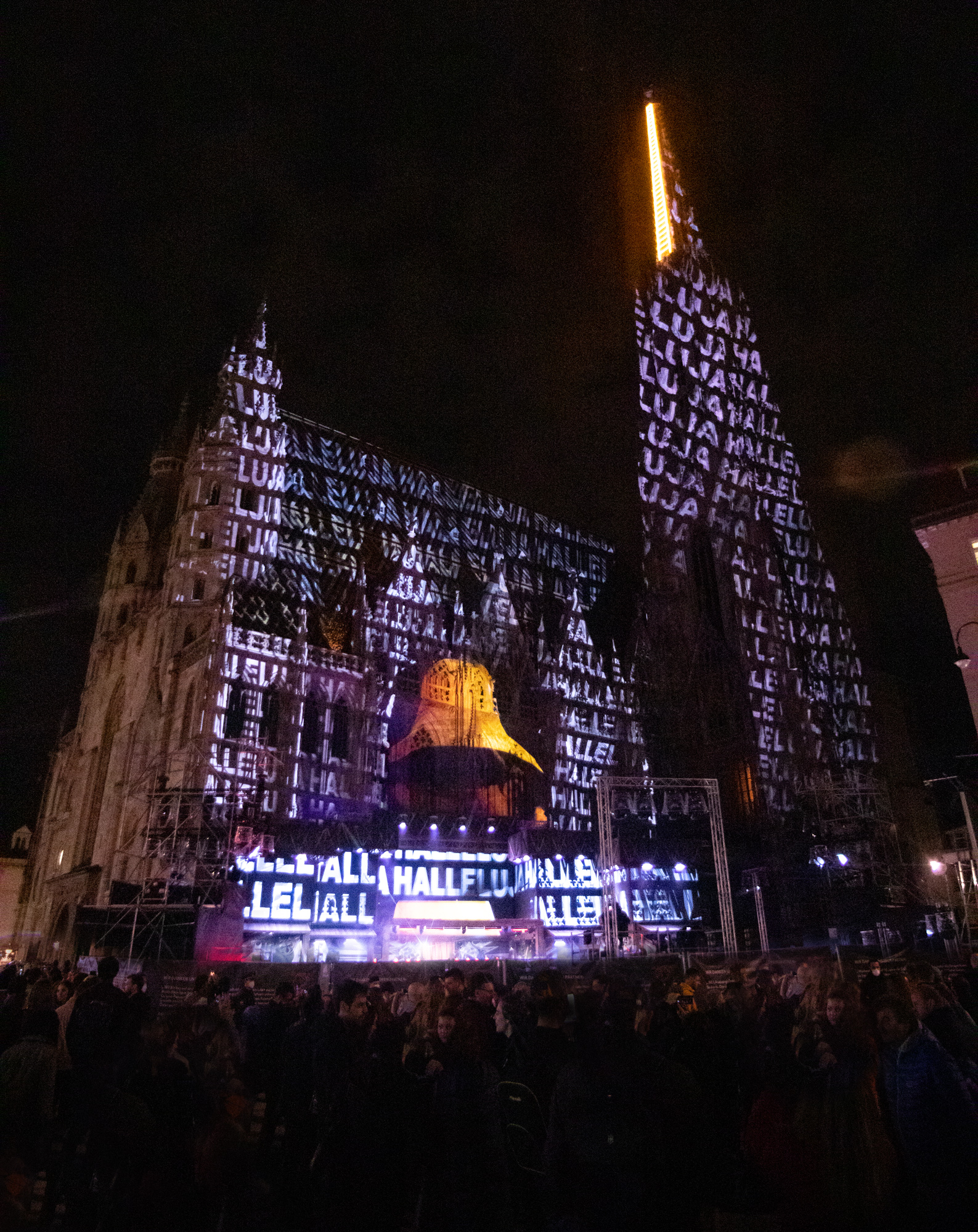 Vielschichtige Texturmotive auf der Domfassade bei Nacht – AUSTRIA FOR LIFE, Stephansdom, Wien, Österreich